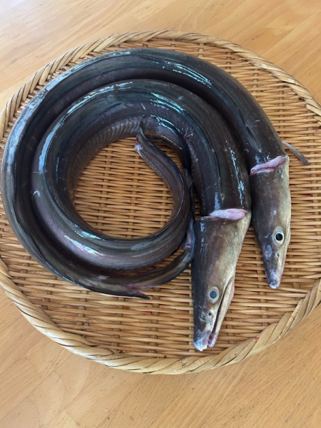 料理