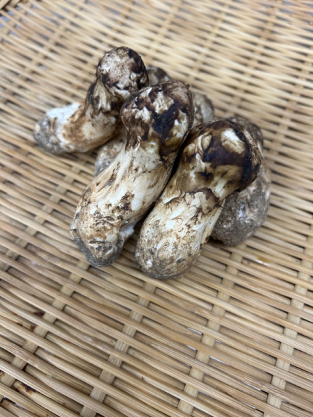 料理