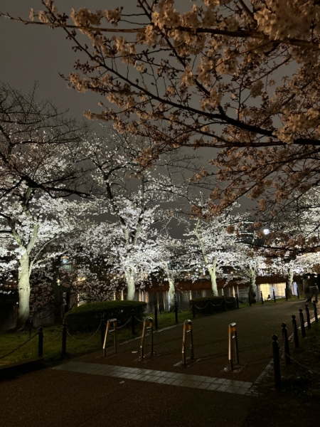 風景