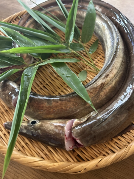 料理