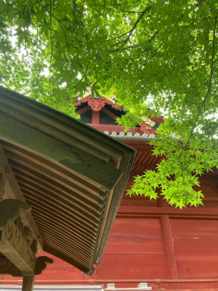 風景